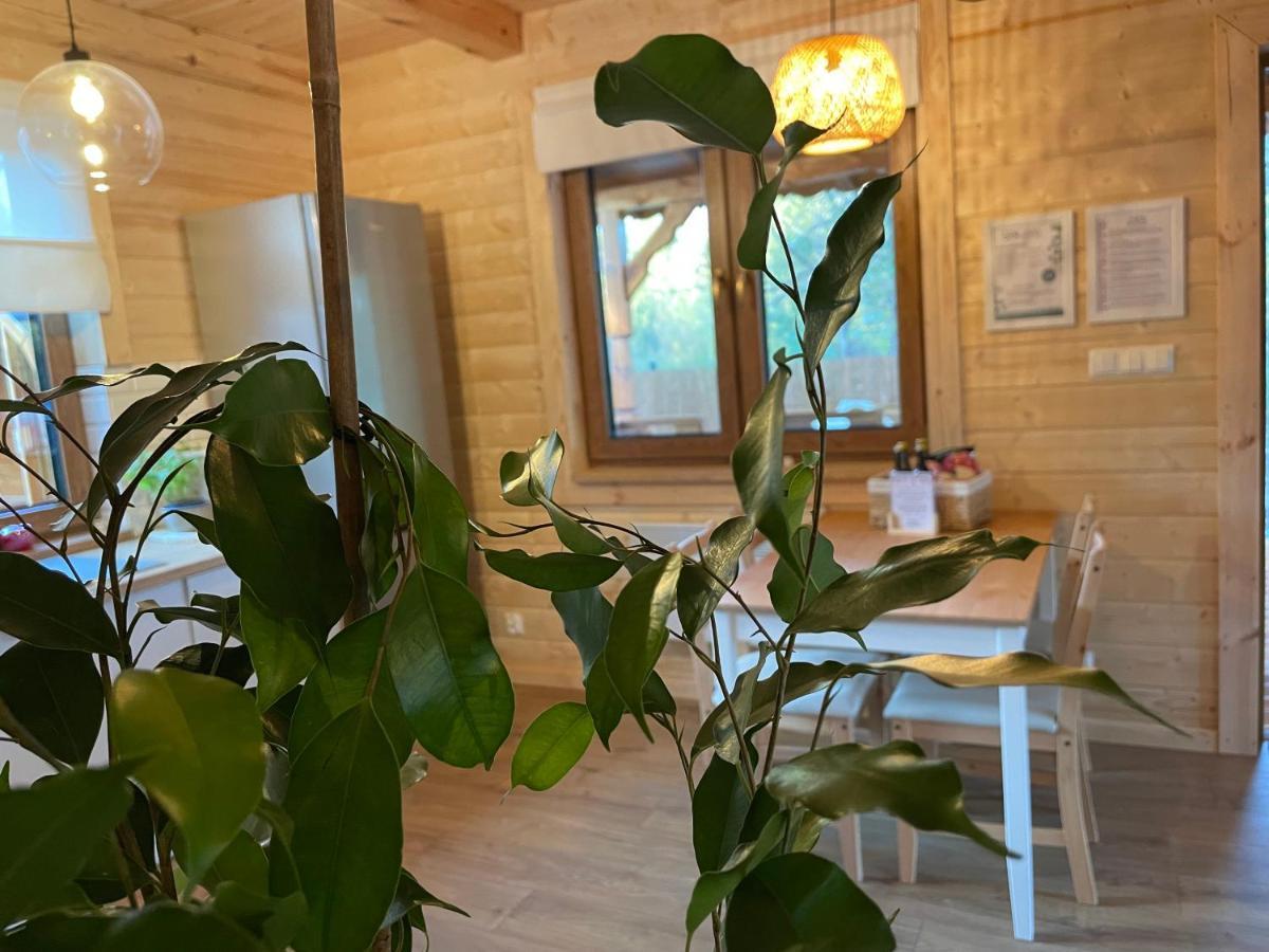 Bug Wie Gdzie - Komfortowe Domy Wypoczynkowe Wólka Extérieur photo
